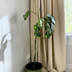 Фото Отель Happy Apartments на улице Советская 21