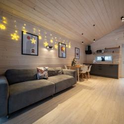 Дом с видом на лес гостиная со спальней (40 кв.м)