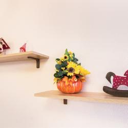 2-комнатные апартаменты студия