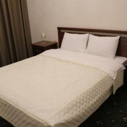 Фото Отель Аустерия