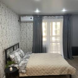 Фото Апартаменты на улице Бородинская 20