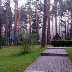 Фото Отель Кедровый остров