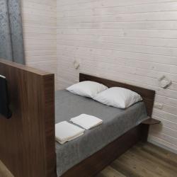 Фото Отель Алтай Люкс