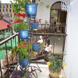 1-комнатные апартаменты студия