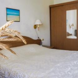 2-местный номер стандарт с 1 двуспальной кроватью