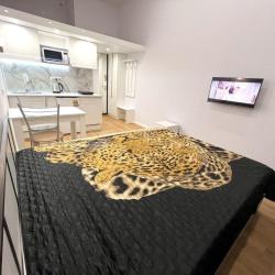 Фото Апартаменты на улице Просвещения 12к2