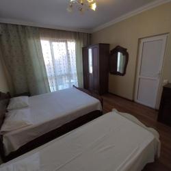 фото 53 Алиса