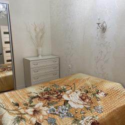 Фото Апартаменты на улице Бакинская 9/1