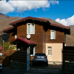 Фото Отель Каштан