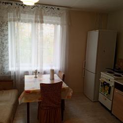 Фото Апартаменты Клондайк на улице имени М.С. Урицкого 19А