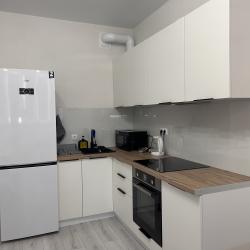 Фото Апартаменты на улице Кирилла Россинского 3/1 корпус 1