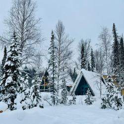 4-местный коттедж премиум