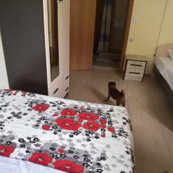 Комната стандарт с 1 односпальной и 1 двуспальной кроватью