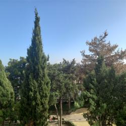 VK Hotel Royal (ВК Роял) — 8105cf785a54ebcddabee21d767d43fb