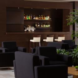 HolidayHall Samara (ХолидейХолл Самара) (бывш. Holiday Inn Samara) — 81062ba0e6f5cc44fb8577cefd10900d