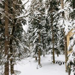 Фото Отель Shantivillas (Шантивиллас)