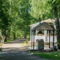 Дом с видом на лес гостиная со спальней (40 кв.м)