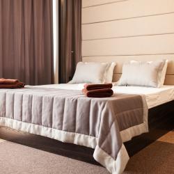 Номер люкс с 1 двуспальной кроватью