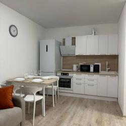 1-комнатные апартаменты стандарт