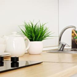 Фото Отель ДоМино на улице Красная