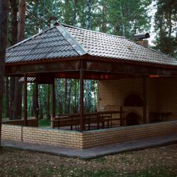 Фото Отель Лесной