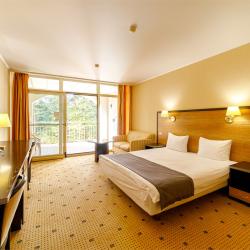 Номер комфорт с 1 двуспальной кроватью (мансарда)