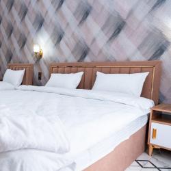 Фото Отель Gold Star Palace Hotel (Голд Стар Палас)