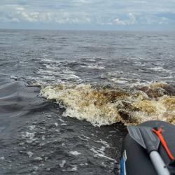 Фото Отель Ильмера