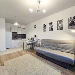 1-комнатные апартаменты стандарт №2