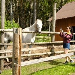 Фото Отель Тридевятое царство