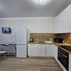 Фото Отель Квартиры в Подмосковье в 1-м Стрелковом переулке