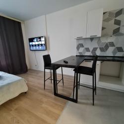 Фото Отель The Loft Studio Moscow (Лофт Студио) на улице Сосновая 5/1