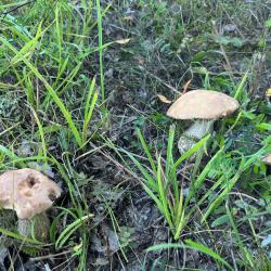 Фото Отель Гостевой дом Брейтово