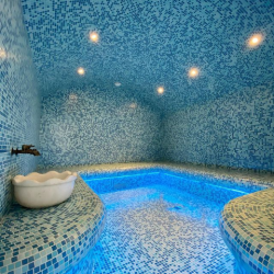 Фото Отель Max SPA (Макс Спа)