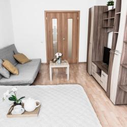 1-комнатные апартаменты стандарт