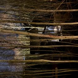 Фото Отель Звен Дзен