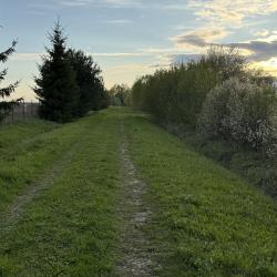 Фото Отель РETRUSНKА.Просторы (Петрушка)