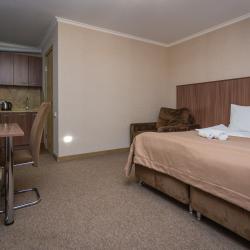 2-местные апартаменты студия (на цокольном этаже)