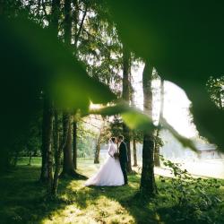 Фото Отель Лафер Ренессанс