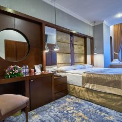 Номер люкс премиум с 1 двуспальной кроватью