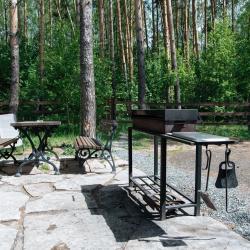 Фото Отель Куль Сканди