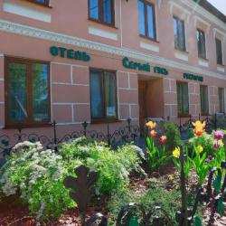 Фото Отель Серый Гусь