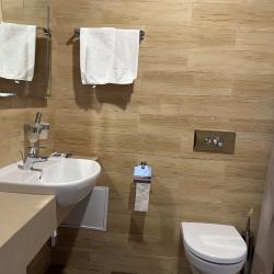 Фото Отель Green Park Conference & Spa Hotel (Грин Парк)