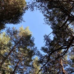 Фото Отель Гостевой дом 1950