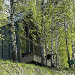 Barnhouse White с банным чаном