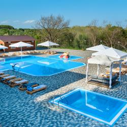 Фото Парк отель Алёлин лес