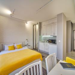 1-комнатные апартаменты студия Улучшенный Loft 450