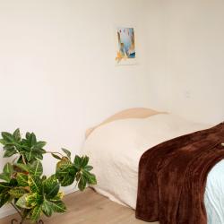 Фото Отель 1-к. квартира, 36 м², 2 кровати
