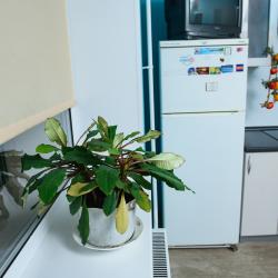 Фото Апартаменты Турист на улице Оплеснина 41/1