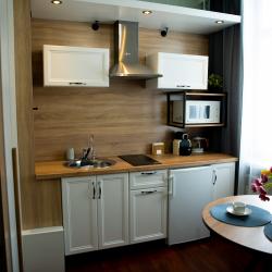 1-комнатные апартаменты студия Ленина 18